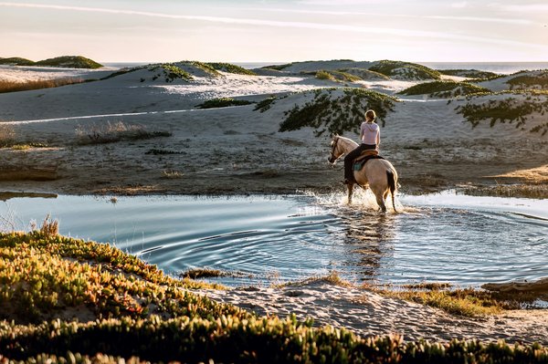 Peut-on louer une maison de vacances en Bretagne avec des ateliers de cuisine et des balades à cheval?
